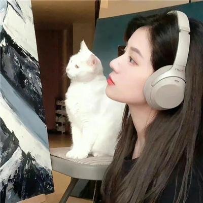 会议谩舞